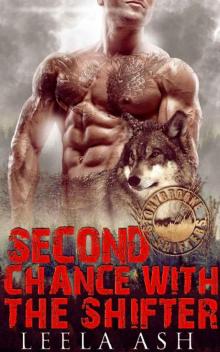 Second Chance with the Shifter (Stonybrooke Shifters)