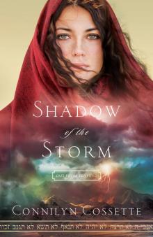 Shadow of the Storm Read online