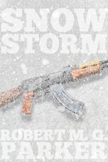 Snow Storm Read online