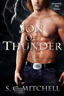 Son of Thunder (Heavenly War Series) Read online