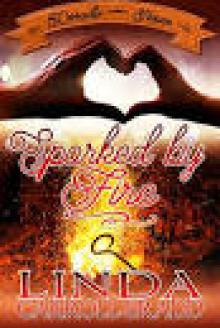 Sparked By Fire (Dorado, Texas Book 4) Read online