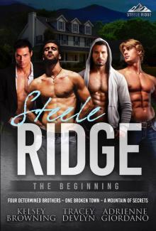 Steele Ridge: The Beginning Read online