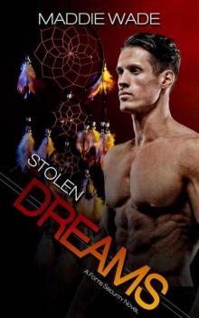 Stolen Dreams: Stolen Dreams Fortis Security Series Read online