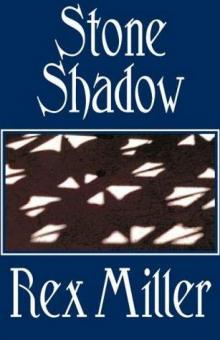 Stone Shadow dje-3 Read online