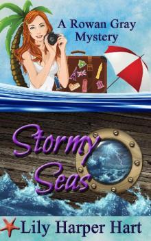 Stormy Seas (A Rowan Gray Mystery Book 3) Read online