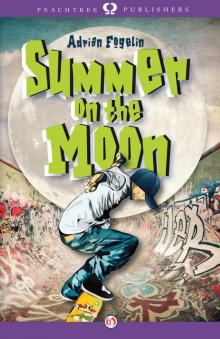 Summer on the Moon Read online