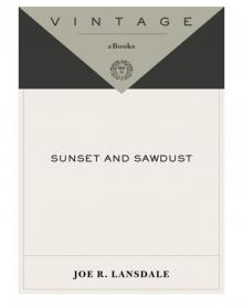 Sunset and Sawdust Read online
