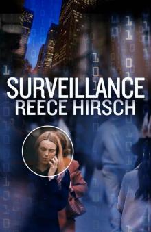 Surveillance (A Chris Bruen Novel Book 3) Read online