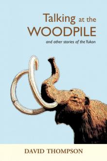 Talking at the Woodpile Read online