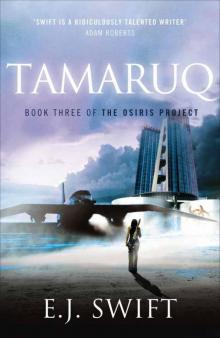Tamaruq Read online