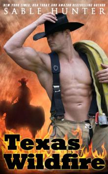 Texas Wildfire (Texas Heroes Book 1)