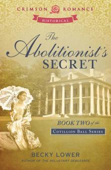 The Abolitionist’s Secret Read online