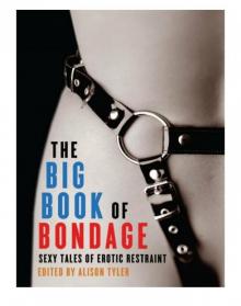 The Big Book of Bondage Read online