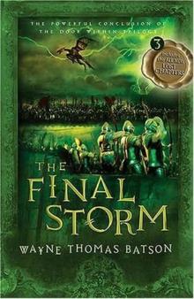 The Final Storm tdw-3 Read online