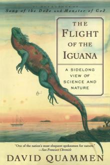 The Flight of the Iguana Read online