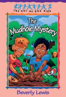 The Mudhole Mystery Read online