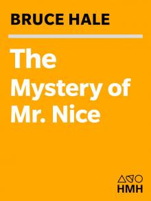The Mystery of Mr. Nice Read online