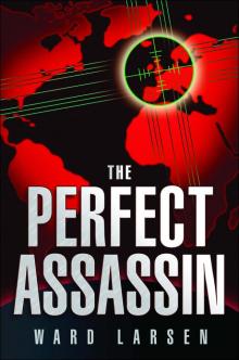The Perfect Assassin Read online