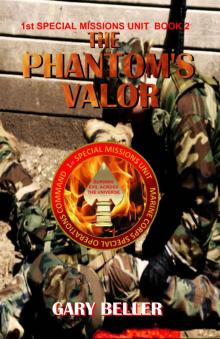 The Phantom's Valor (Special Missions Unit Book 2)