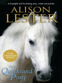 The Quicksand Pony Read online