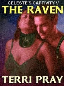 The Raven Read online