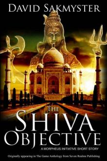 The Shiva Objective Read online