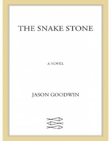 The Snake Stone Read online