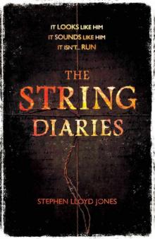 The String Diaries Read online