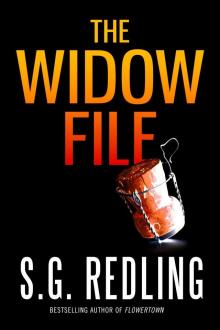 The Widow File Read online