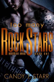 Too Many Rock Stars (Access All Areas #1) Read online