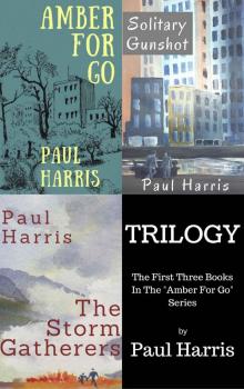 Trilogy: The First Three Books in the Amber For Go Series