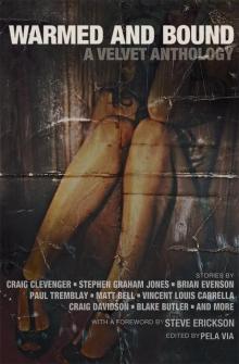 Warmed and Bound: A Velvet Anthology