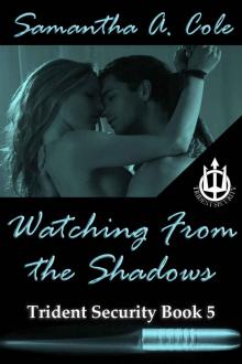 Watching From The Shadows: Trident Security Book 5 Read online