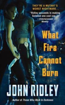 What Fire Cannot Burn so-2 Read online
