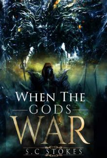 When The Gods War_Book 2_Chronicles of Meldinar Read online