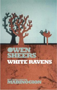 White Ravens Read online