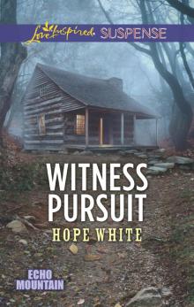 Witness Pursuit Read online