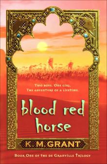 A Blood Red Horse Read online