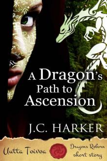 A Dragon's Path to Ascension Read online