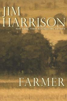 A Farmer Read online