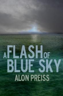 A Flash of Blue Sky Read online