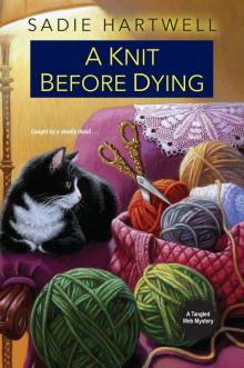 A Knit before Dying Read online