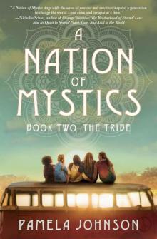 A Nation of Mystics_Book II_The Tribe Read online