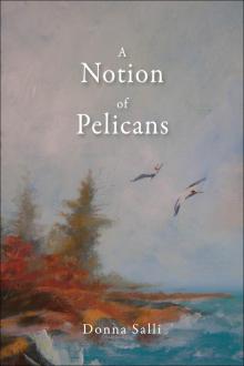 A Notion of Pelicans Read online