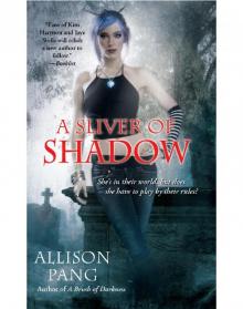 A Sliver of Shadow Read online