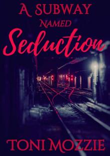 A Subway Named Seduction: A Public Encounter Read online