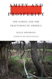 Amity and Prosperity_One Family and the Fracturing of America Read online
