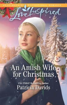 An Amish Wife for Christmas Read online
