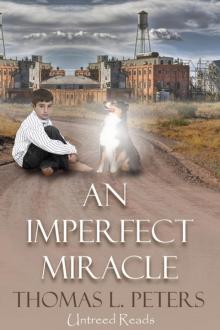 An Imperfect Miracle Read online
