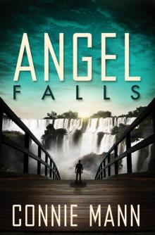 Angel Falls Read online